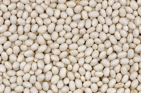 Closeup white beans texture — Stock Photo, Image