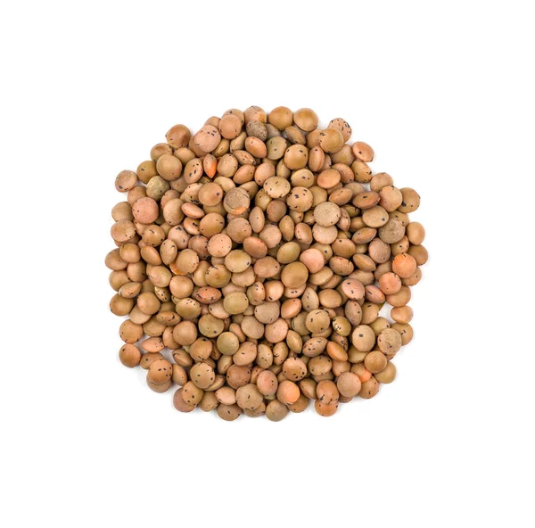 Heap of brown lentils — Stock Photo, Image