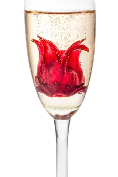 Šampaňské koktejl s ibišek květ — Stock fotografie