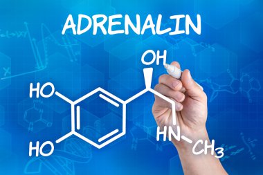 Hand with pen drawing the chemical formula of adrenalin clipart