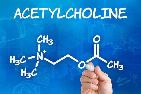 Hand mit Stift zeichnet die chemische Formel von Acetylcholin — Stockfoto