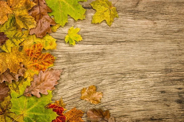 Rustic wooden background with colorful autumn leaves — Stock Photo, Image