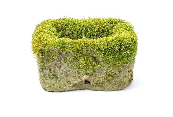 Old mossy flower trough made of sandstone — Stock Photo, Image