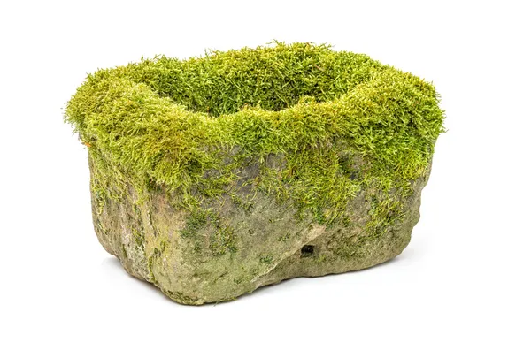 Old mossy flower trough made of sandstone — Stock Photo, Image