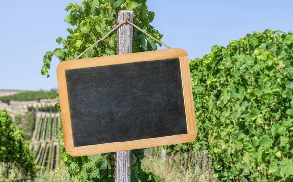 Empty Blackboard Vineyards — Stock Photo, Image