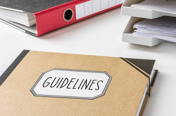 Brązowy Folder Oznaczony Guidelines — Zdjęcie stockowe