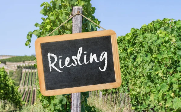 Pizarra Los Viñedos Riesling — Foto de Stock