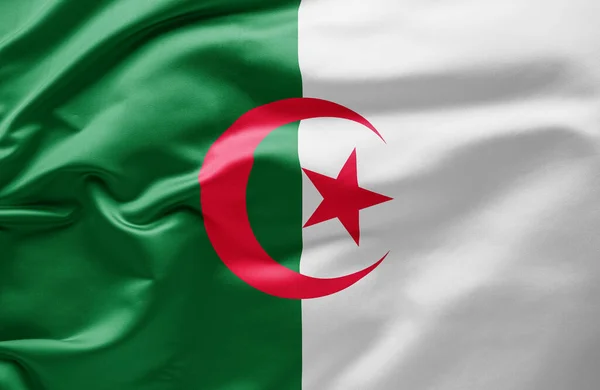 Κουνώντας Την Εθνική Σημαία Της Αλγερίας — Φωτογραφία Αρχείου
