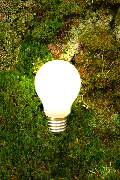 Green energy light bulb