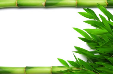 bambu yaprakları ve bir buhar