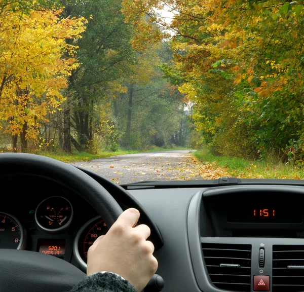 Driving in fall — Stock Photo, Image