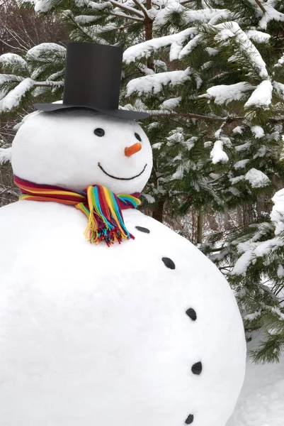 Sneeuwpop glimlachen — Stockfoto