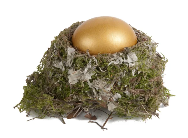 Arany-tojás egy fészekben — Stock Fotó