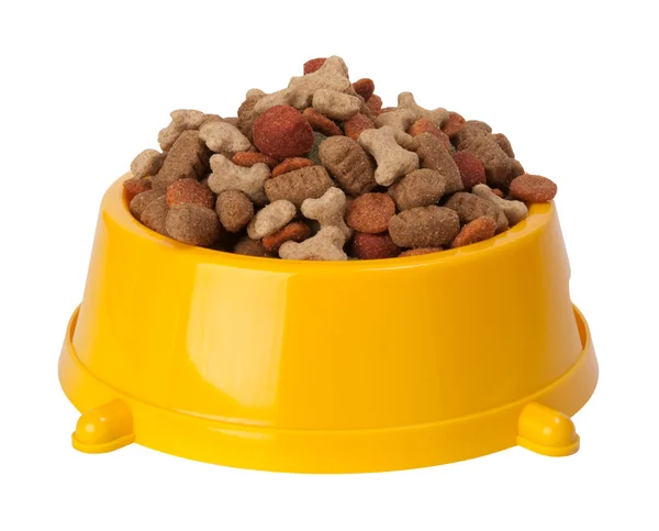 Perro comida seca en un tazón — Foto de Stock