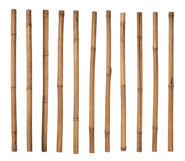 Palos de bambú aislados en blanco —  Fotos de Stock