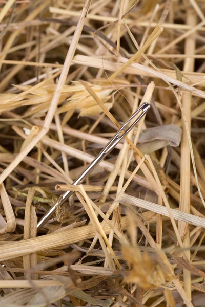 Nål i en höstack — Stockfoto