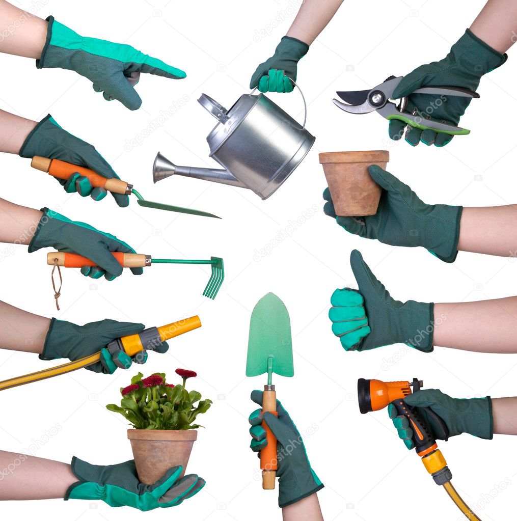 Hand in a glove holding gardening tools isolated on white