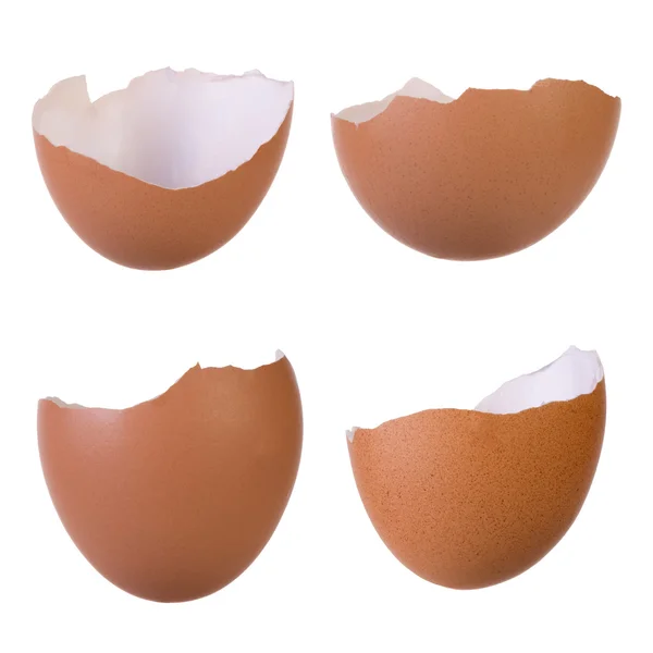 Vaječné skořápky — Stock fotografie