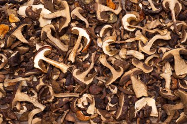 Masanın üstünde kurumuş orman mantarları. 