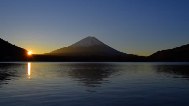 Ανατολή Ηλίου Από Λίμνη Shoji Και Όρος Fuji Ιαπωνία 2022 — Αρχείο Βίντεο