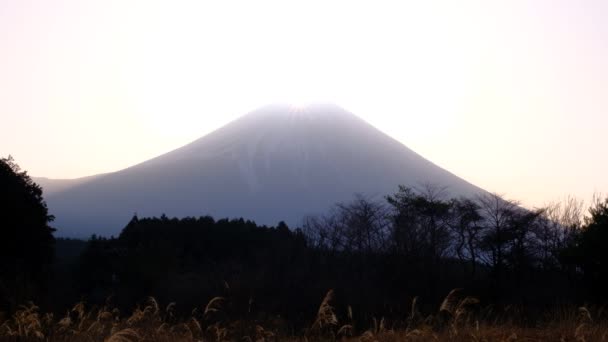 Dimma Våren Diamond Mount Fuji Från Asagiri Platå 2022 — Stockvideo