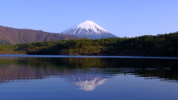 Mount Fuji Von Nenba Saiko See 2022 — Stockvideo