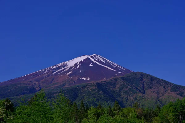 Góra Fuji Świeżym Zielonym Błękitnym Niebie Leśnej Drogi Fuji Lina — Zdjęcie stockowe