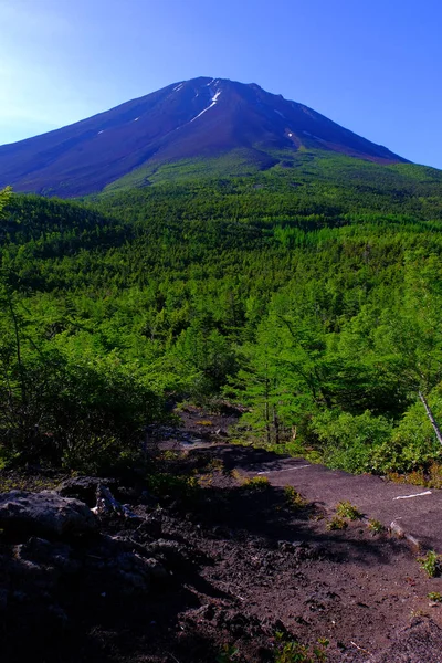 Mont Fuji Début Été Partir Parc Naturel Okuniwa 2022 — Photo