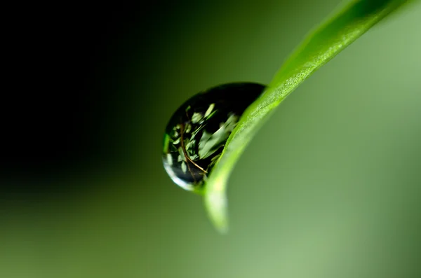 Reflexiones sobre el agua — Foto de Stock