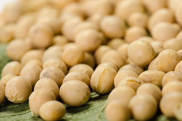 Soya fasulyesi