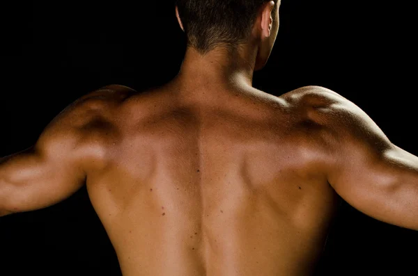 Rücken des muskulösen Mannes — Stockfoto