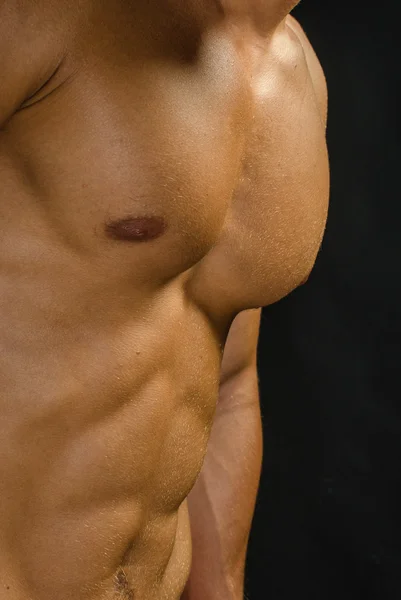 mükemmel karın kasları