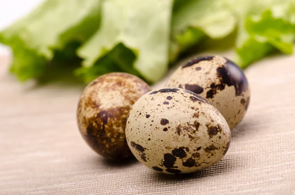 Čerstvý salát a křepelčím vajíčkem — Stock fotografie