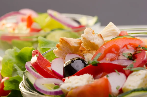 Frischer Salat — Stockfoto