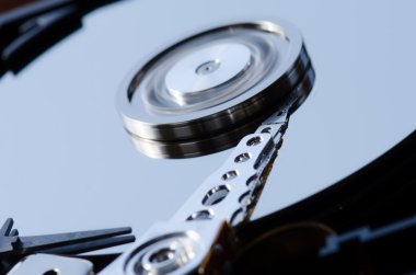 Disk