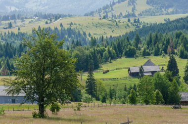 çayır, ağaçlar ve bir dağ evine