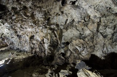 Polovragi Cave