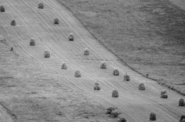 Hill with haystacks — Stock Photo, Image