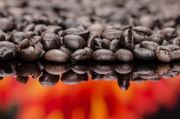 Grãos de café — Fotografia de Stock