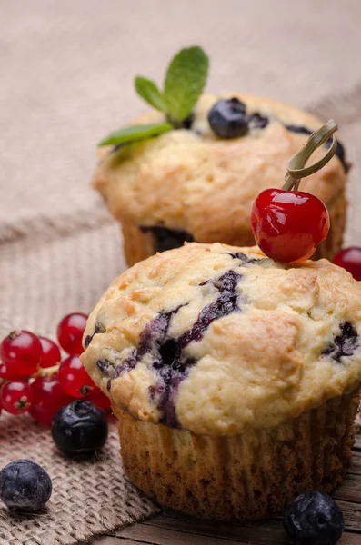 Muffins — Stockfoto