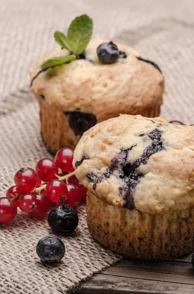 Muffins — Photo