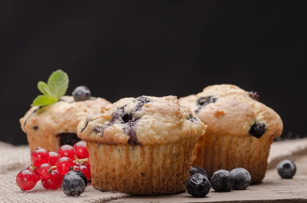 Muffins — Photo