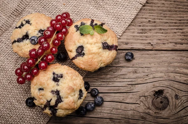 Muffins — Stockfoto