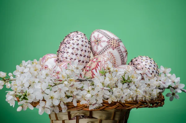 Cesta con huevos pintados de Pascua y flores de ciruela y cereza — Foto de Stock