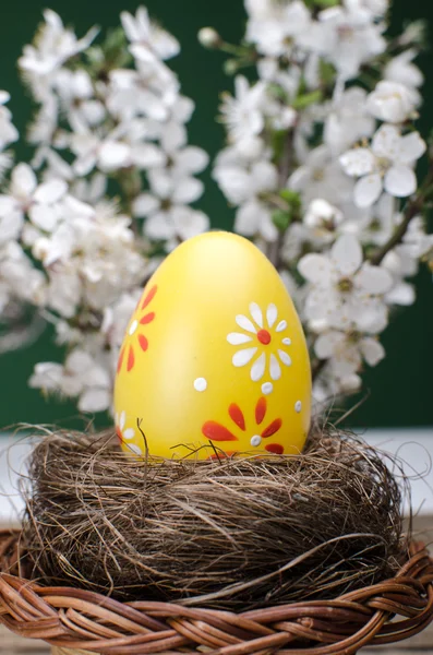 Sarı Paskalya yortusu yumurta — Stok fotoğraf