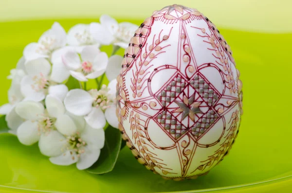 Flores de primavera e ovo de Páscoa — Fotografia de Stock