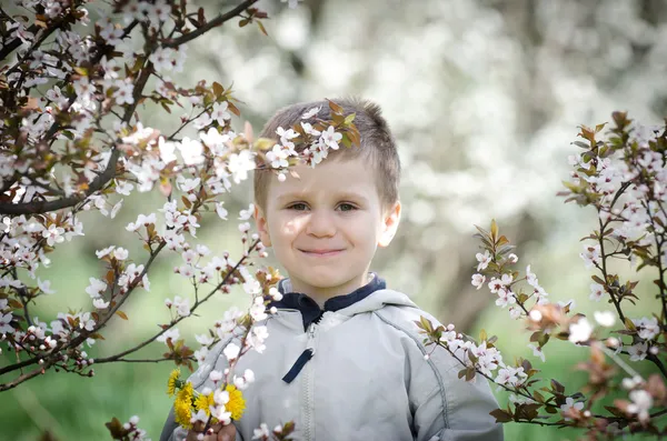 Счастливый маленький мальчик и цветущие весенние цветы — стоковое фото