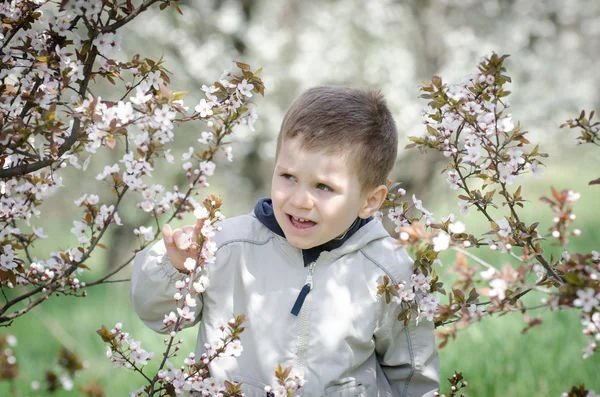 Mutlu küçük çocuk ve çiçeği bahar çiçekleri