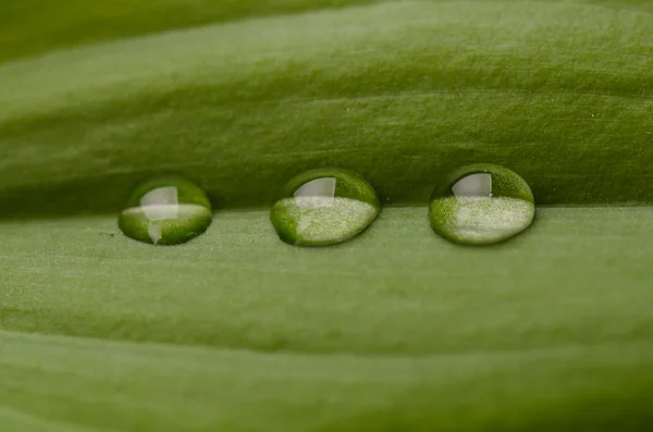 Gotas de água — Fotografia de Stock