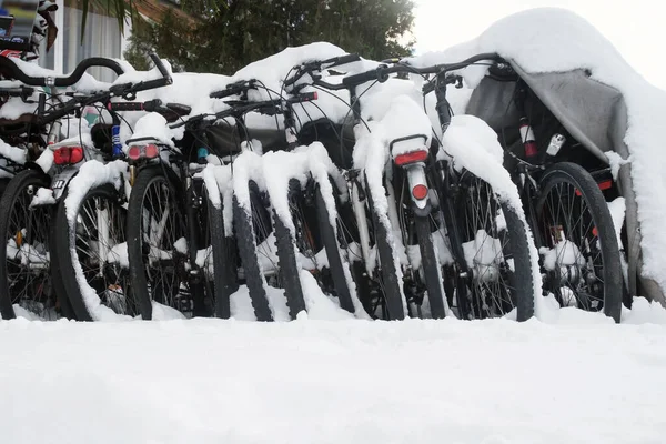 自行车在冬天停放 成排的自行车被雪覆盖着 — 图库照片